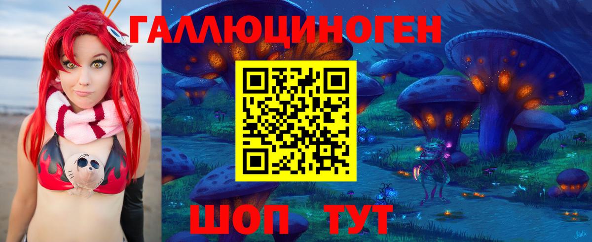Галлюциногенные грибы Psilocybine cubensis Бузулук